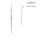 Cleoid-Discoid Classic-Round Falcon fig. 4